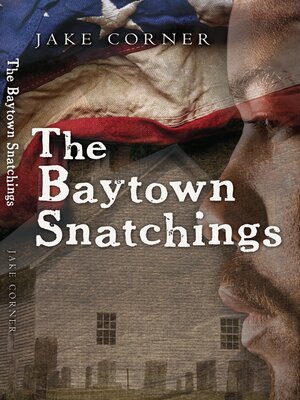 cover image of The Baytown Snatchings